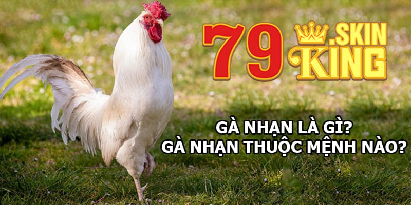 Gà nhạn là gà gì? Thuộc mệnh nào?