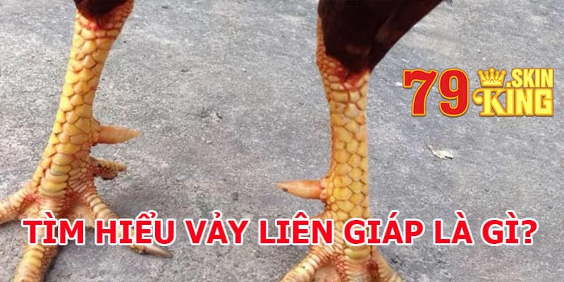 Vảy liên giáp là gì? Tìm hiểu vảy liên giáp