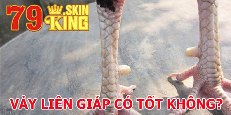 Đánh giá chiến kê có vảy liên giáp