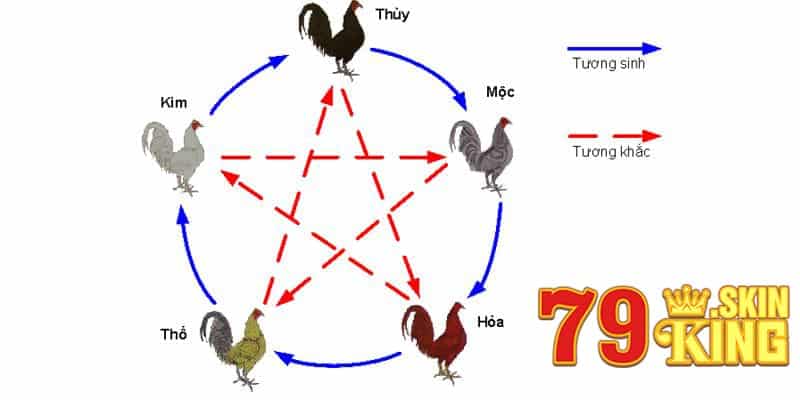 Cách lựa chọn gà chuối mạng gì để thi đấu