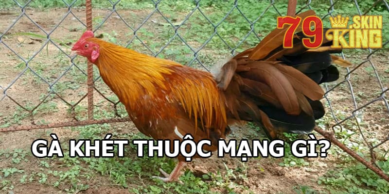 Gà khét thuộc mạng gì?