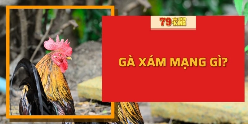 Gà Xám Mạng Gì? Cách Xem Mệnh Theo Phong Thủy Ngũ Hành Mới Nhất 2024