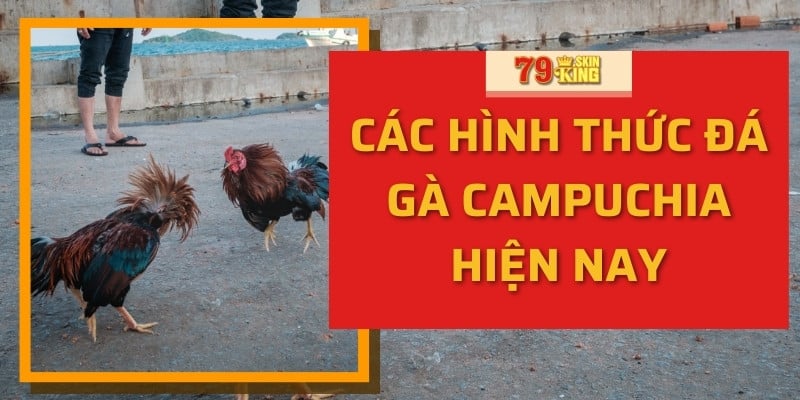 Các hình thức đá gà Campuchia hiện nay