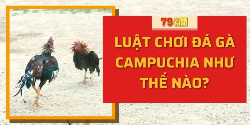 Luật chơi đá gà Campuchia như thế nào?