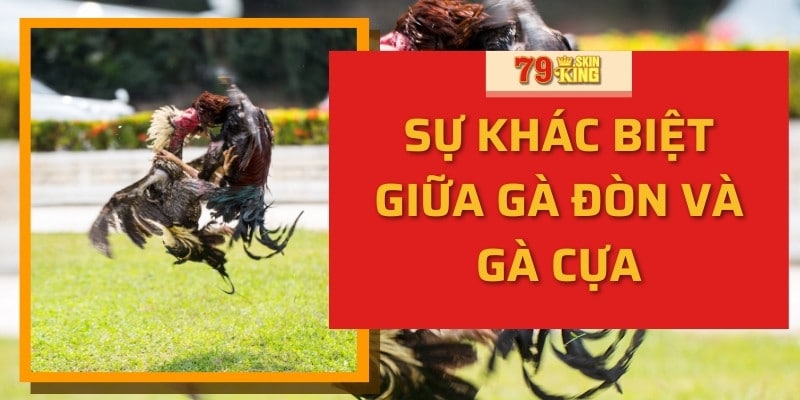 Sự khác biệt giữa gà đòn và gà cựa