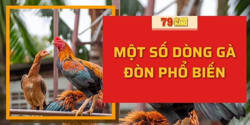 Một số dòng gà đòn phổ biến