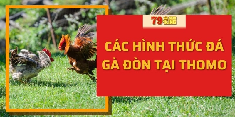 Các hình thức đá gà đòn tại Thomo