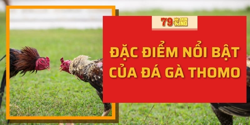 Đặc điểm nổi bật của đá gà thomo