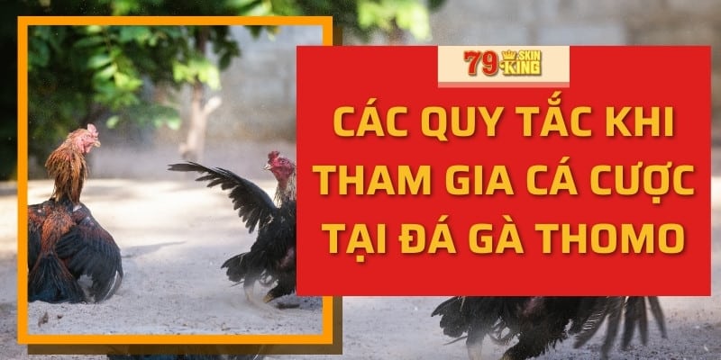 Các quy tắc khi tham gia cá cược tại đá gà thomo