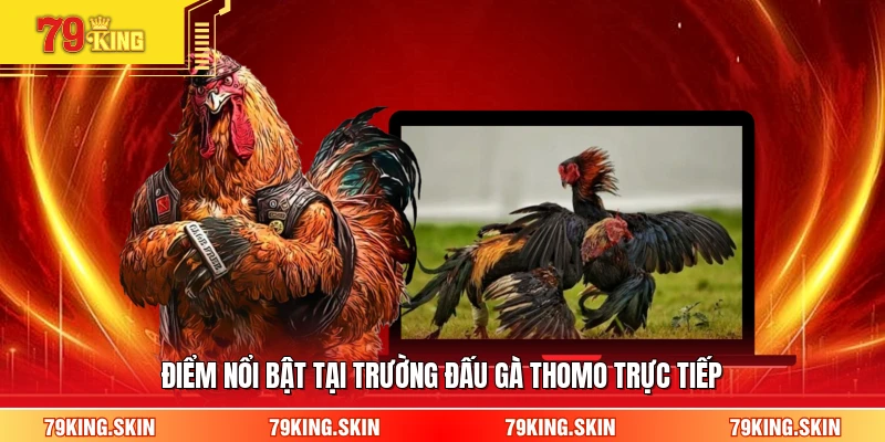 Điểm nổi bật tại trường đấu gà thomo trực tiếp 
