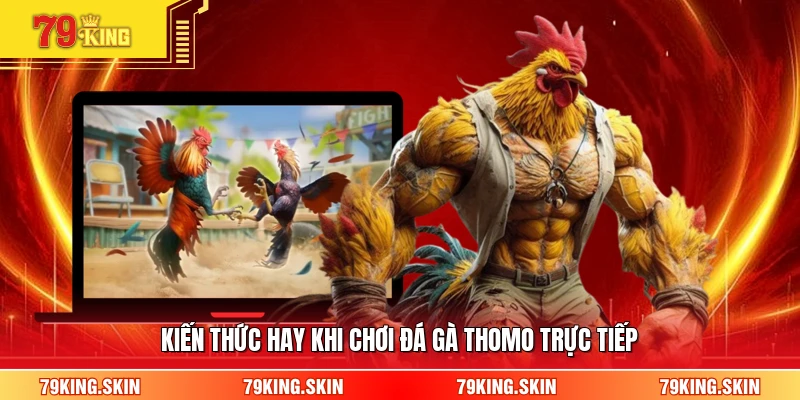 Kiến thức hay khi chơi đá gà thomo trực tiếp 